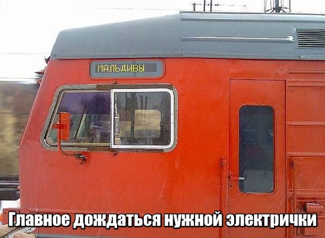Подборка прикольных фото №1722 (105 фото)