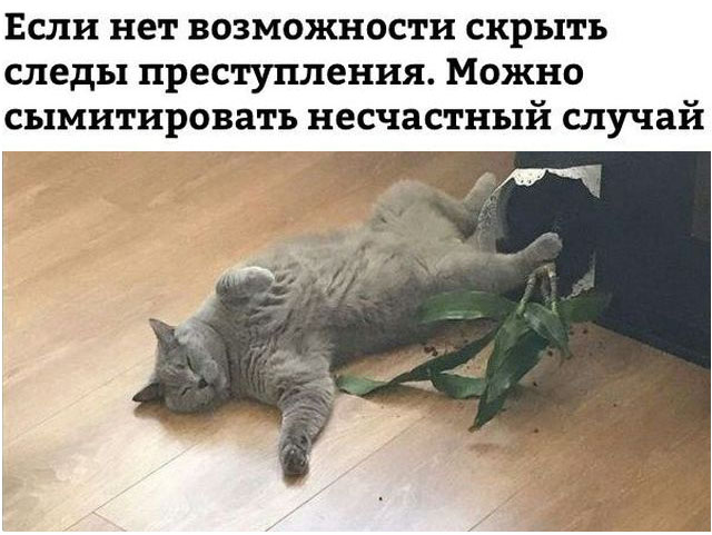 Подборка прикольных фото №1723 (100 фото)
