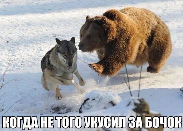 Подборка прикольных фото №1724 (100 фото)