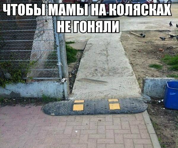 Смешные картинки с надписями (29 фото)