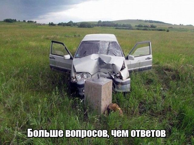 Подборка прикольных фото №1730 (101 фото)