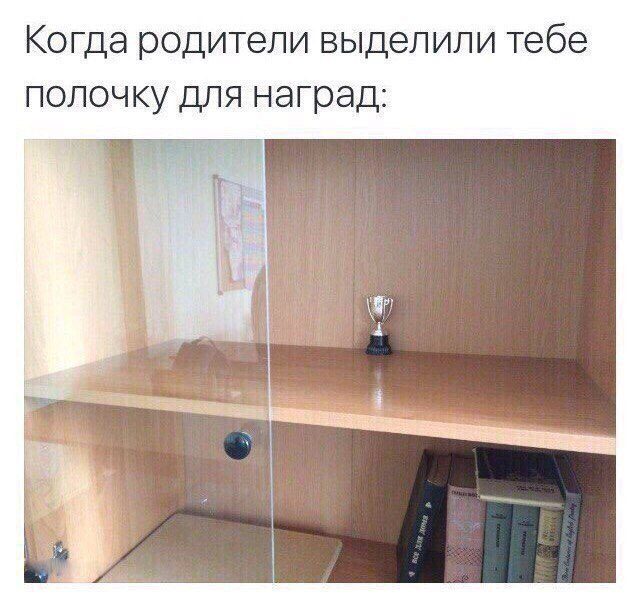 Приколы, которые начинаются со слова «когда» (18 фото)
