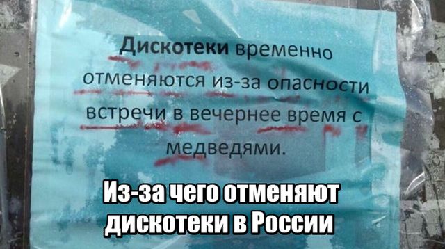 Подборка прикольных фото №1731 (104 фото)