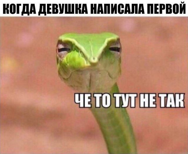Прикольные картинки (20 фото)