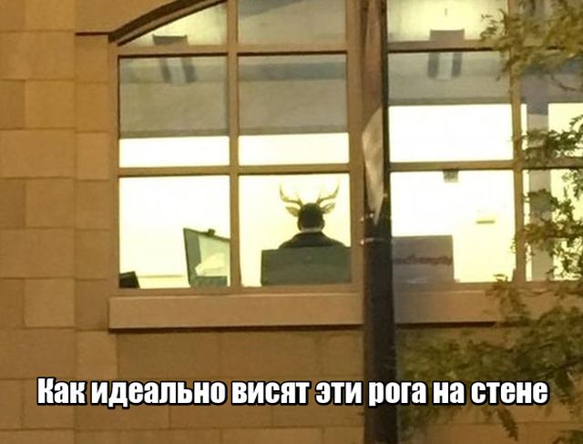 Подборка прикольных фото №1747 (118 фото)