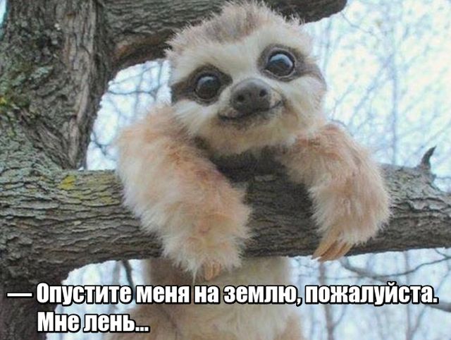 Подборка прикольных фото №1756 (118 фото)
