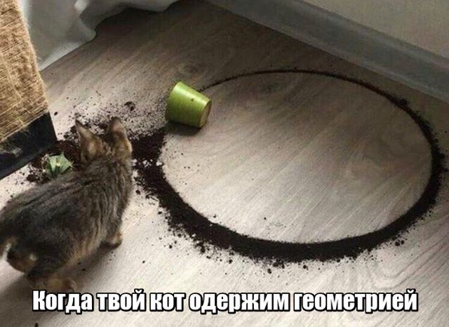 Подборка прикольных фото №1759 (107 фото)