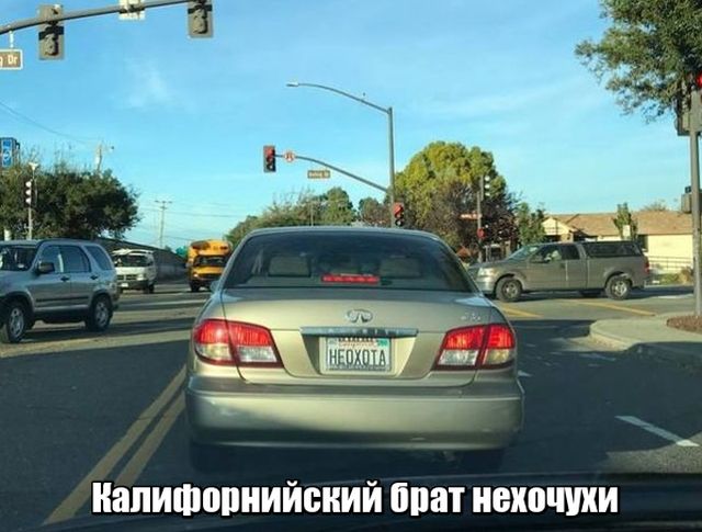 Подборка прикольных фото №1761 (112 фото)