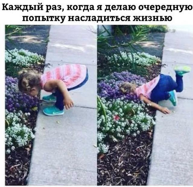 Подборка прикольных фото №1764 (105 фото)