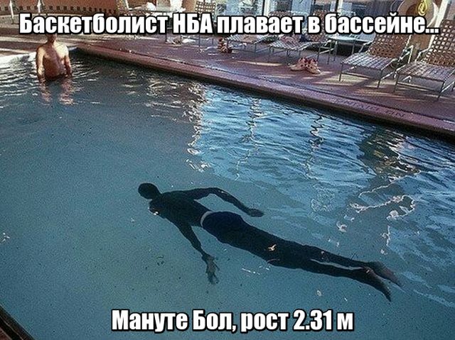 Подборка прикольных фото №1767 (138 фото)