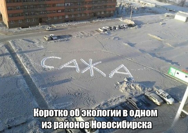 Подборка прикольных фото №1773 (112 фото)