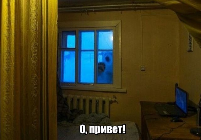 Подборка прикольных фото №1779 (108 фото)