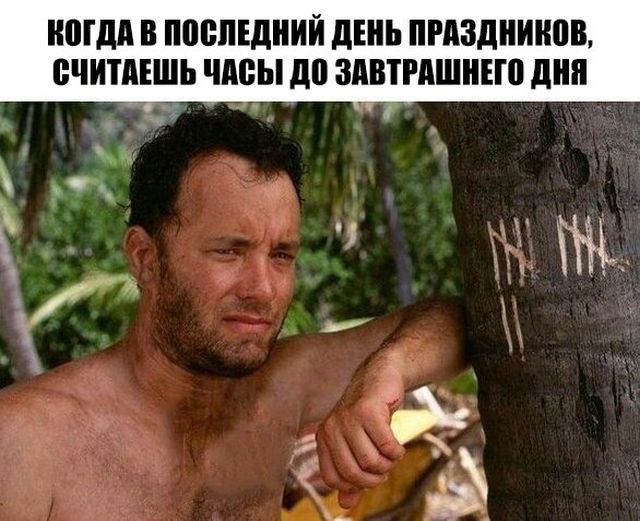 Когда долгие выходные подходят к концу (27 фото)