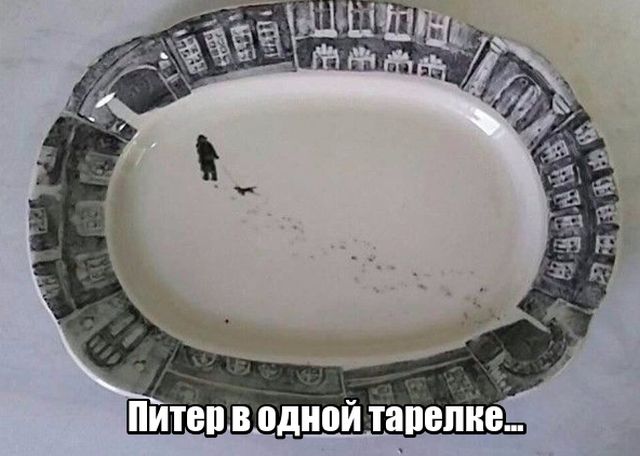 Подборка прикольных фото №1784 (109 фото)