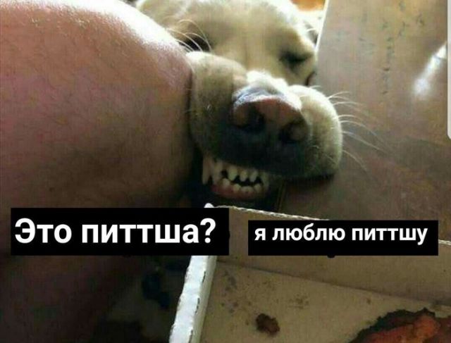 Подборка прикольных фото №1788 (106 фото)