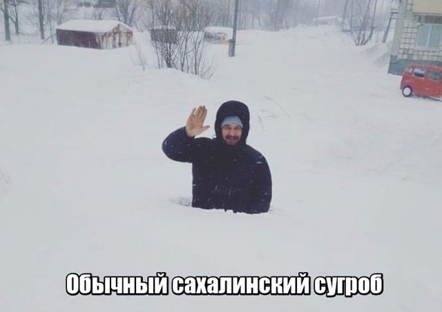 Подборка прикольных фото №1795 (100 фото)