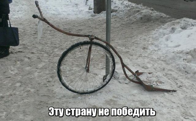 Подборка прикольных фото №1796 (112 фото)