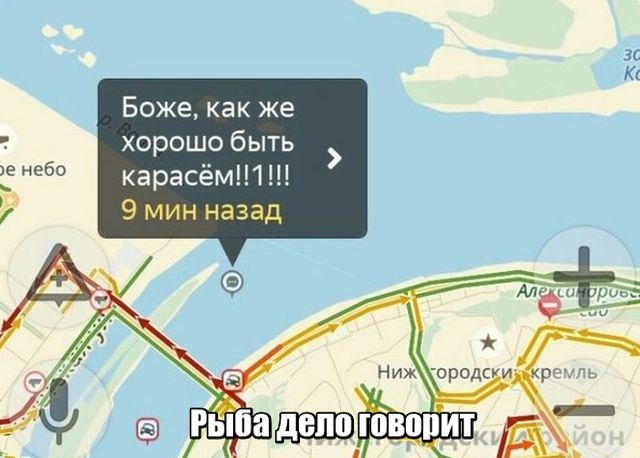 Подборка прикольных фото №1799 (72 фото)