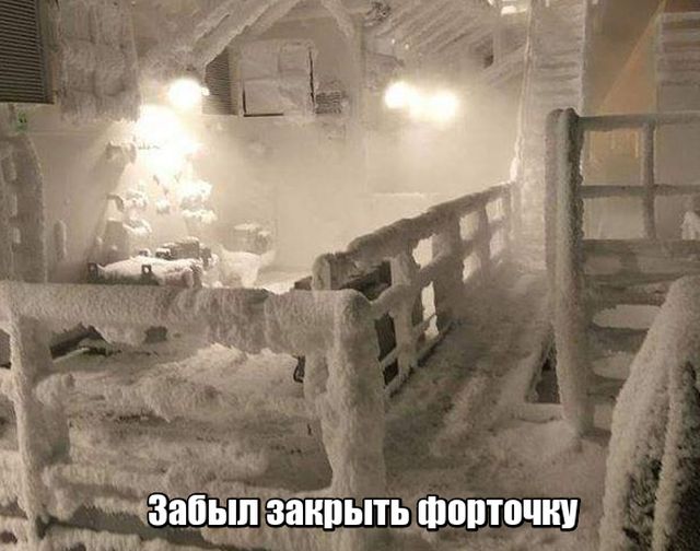 Подборка прикольных фото №1801 (74 фото)