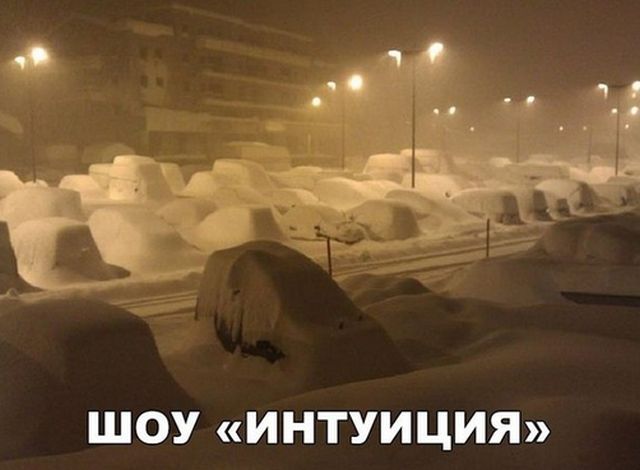 Подборка прикольных фото №1803 (63 фото)