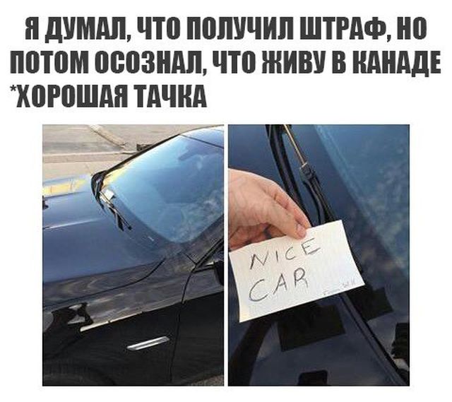 Подборка прикольных фото №1805 (54 фото)