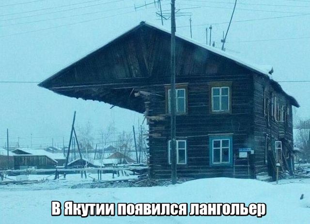 Подборка прикольных фото №1807 (66 фото)