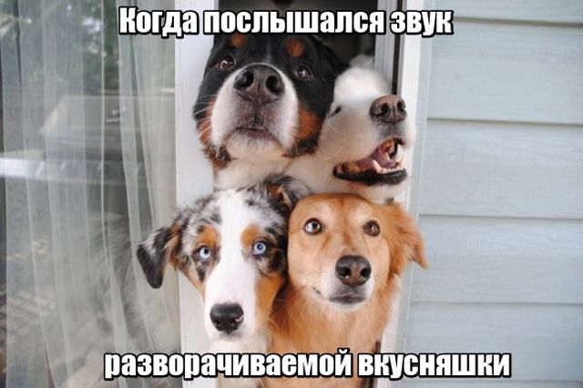 Подборка прикольных фото №1809 (56 фото)