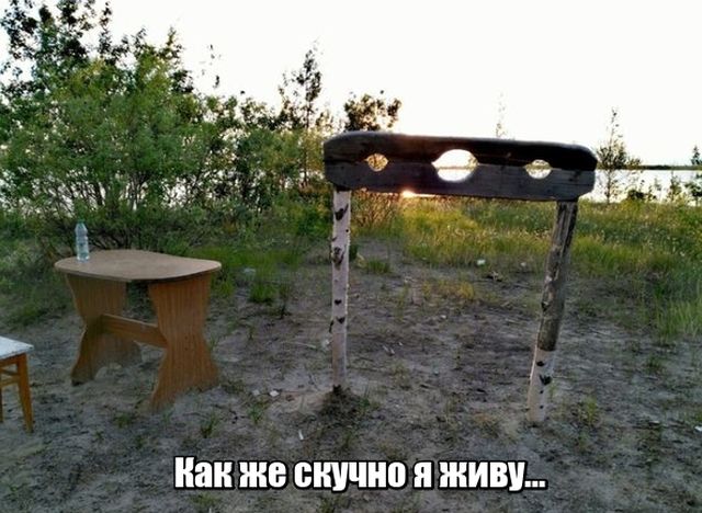 Подборка прикольных фото №1812 (54 фото)