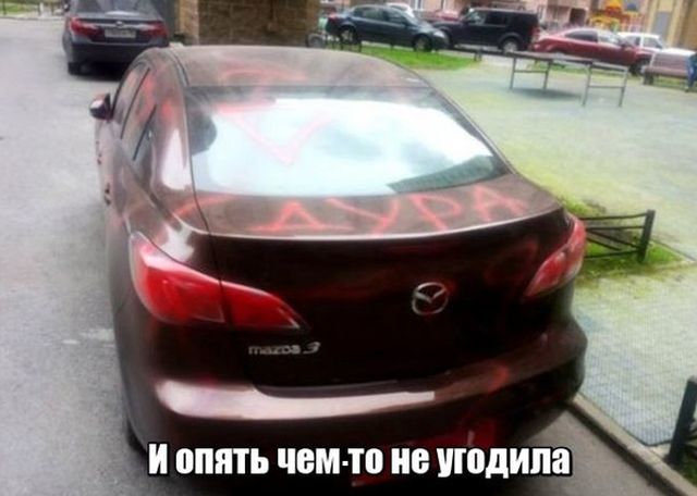 Подборка прикольных фото №1815 (49 фото)
