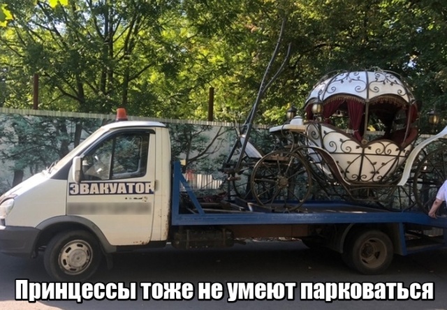 Подборка прикольных фото №1960 (44 фото)