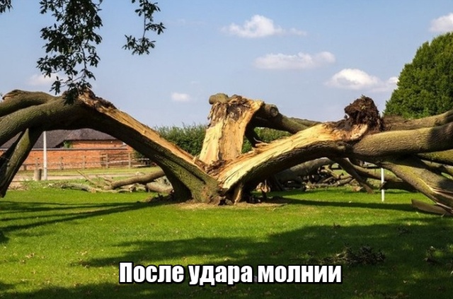 Подборка прикольных фото №1958 (43 фото)