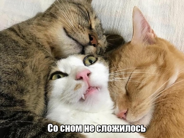 Подборка прикольных фото №1958 (43 фото)