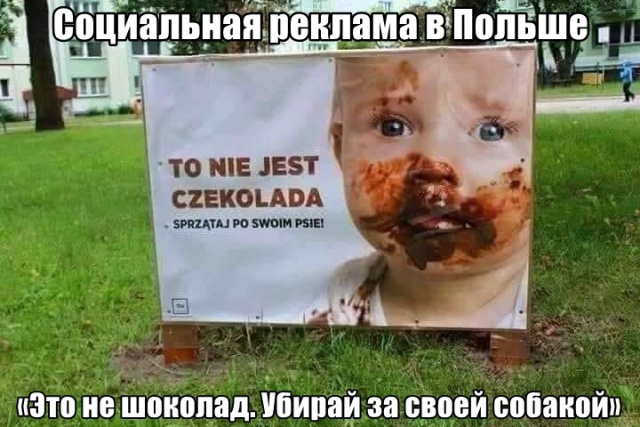 Подборка прикольных фото №1948 (49 фото)