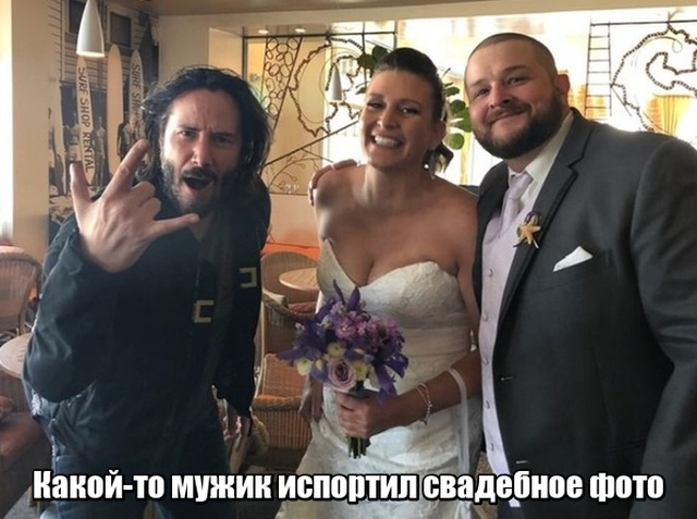 Подборка прикольных фото №1940 (43 фото)