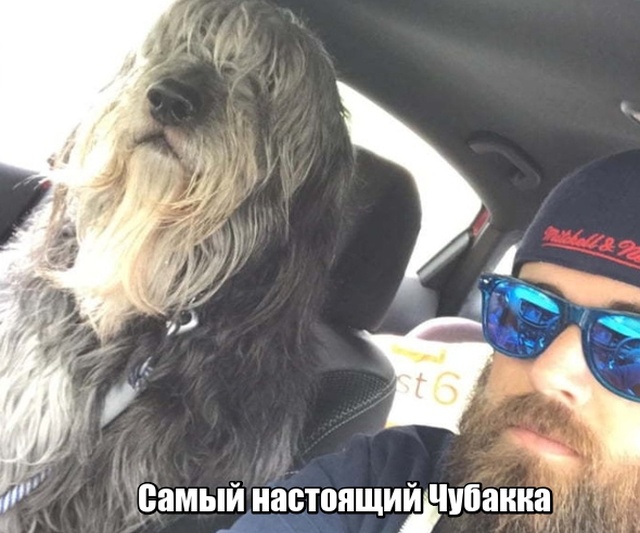 Подборка прикольных фото №1939 (45 фото)