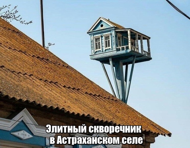 Подборка прикольных фото №1938 (50 фото)