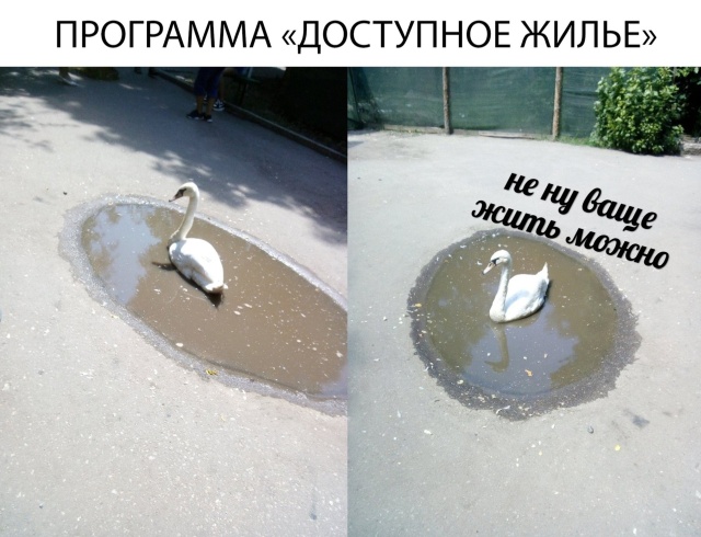 Подборка прикольных фото №2003 (43 фото)