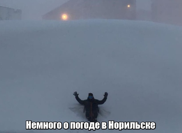 Подборка прикольных фото №2003 (43 фото)