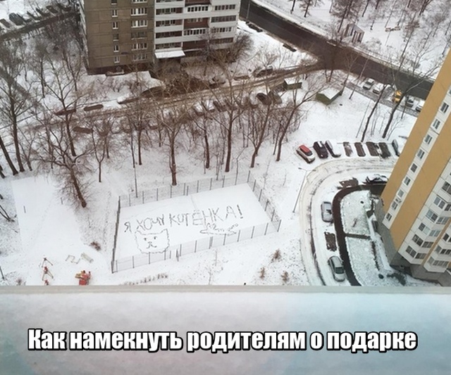 Подборка прикольных фото №2004 (42 фото)
