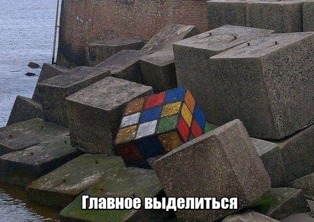 Подборка прикольных фото №2025 (45 фото)