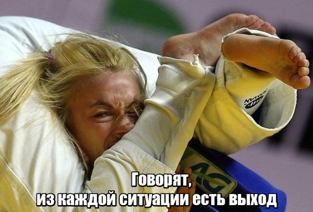 Подборка прикольных фото №2035 (42 фото)
