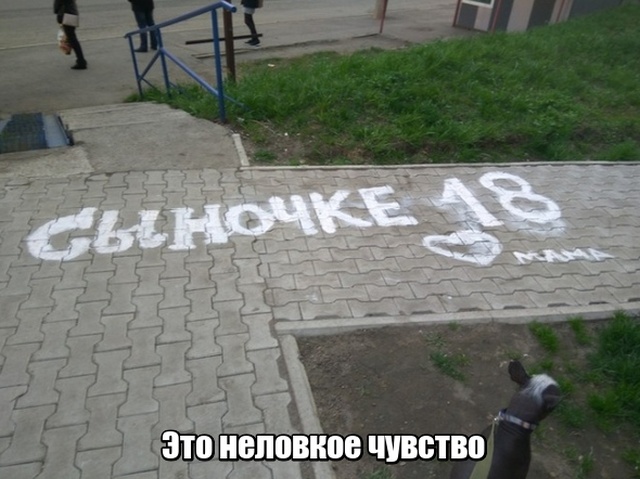 Подборка прикольных фото №2038 (42 фото)