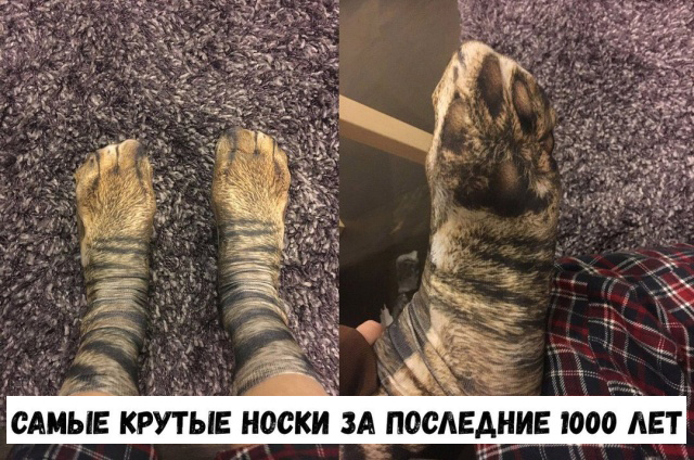 Подборка прикольных фото №2042 (40 фото)