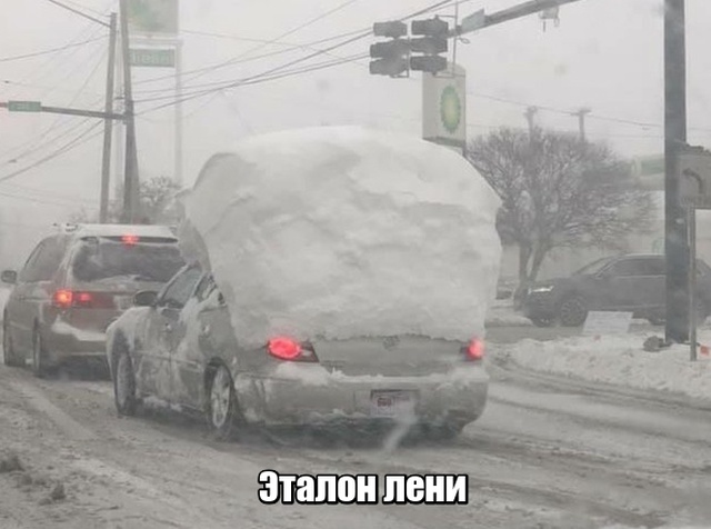 Подборка прикольных фото №2043 (43 фото)