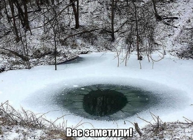 Подборка прикольных фото №2048 (40 фото)