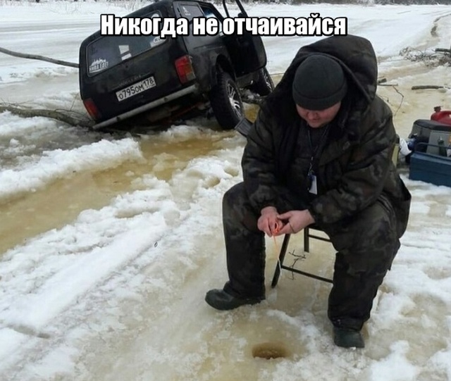 Подборка прикольных фото №2057 (46 фото)