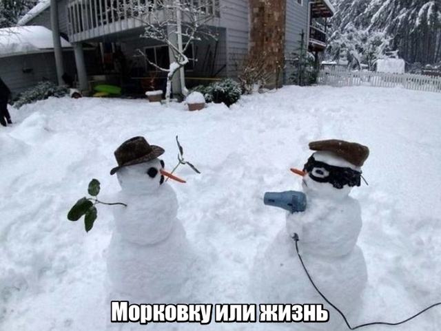 Подборка прикольных фото №2060 (42 фото)