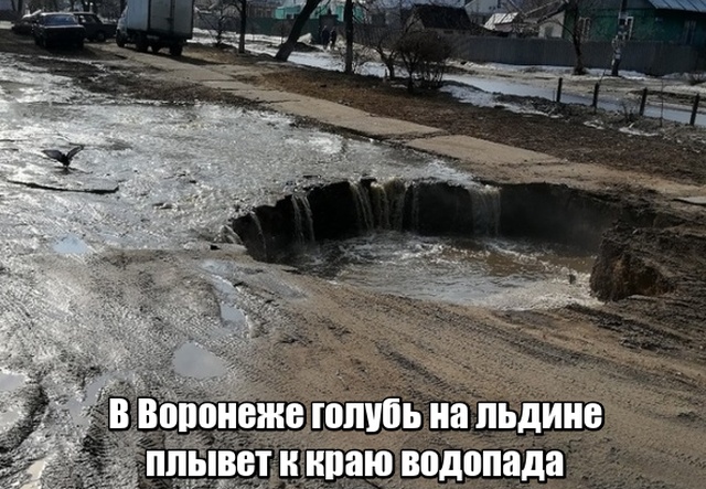 Подборка прикольных фото №2076 (45 фото)
