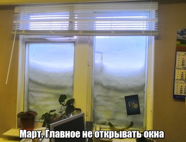 Подборка прикольных фото №2078 (46 фото)