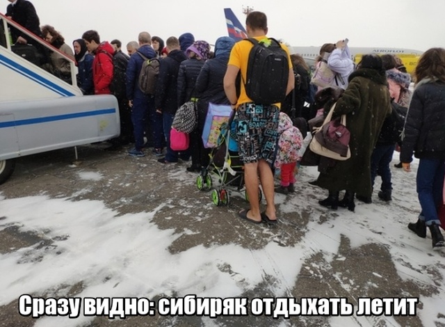 Подборка прикольных фото №2084 (43 фото)